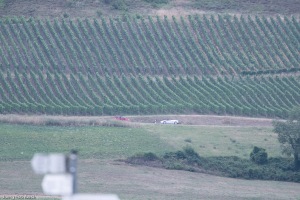 IMG_6740