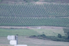 IMG_6740