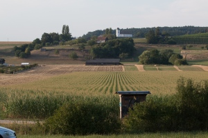 IMG_5488