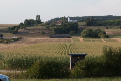 IMG_5488