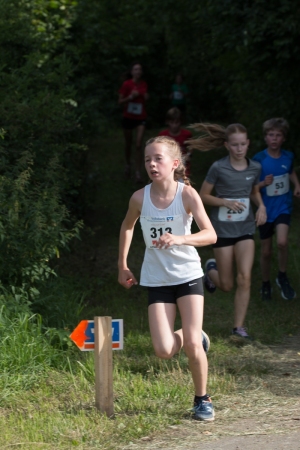 IMG_1985