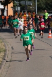 IMG_8910